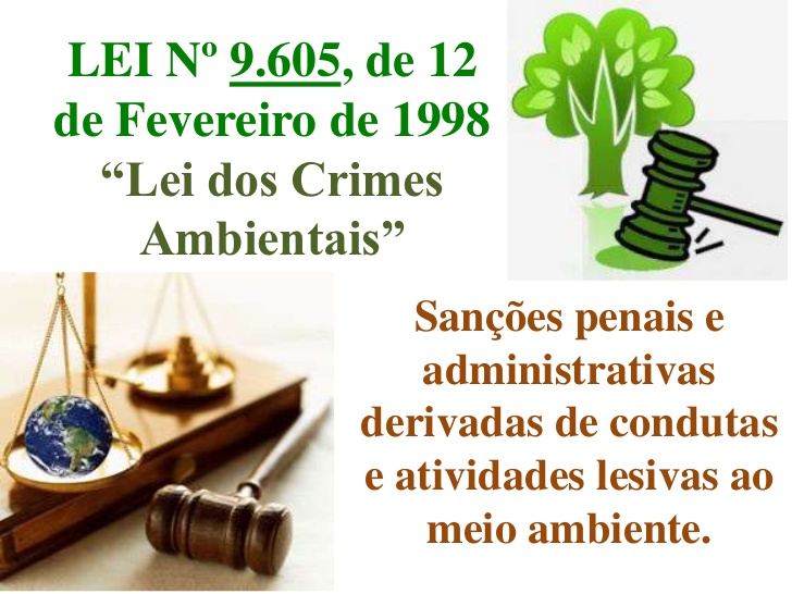 Lei 9605 – Crimes Ambientais