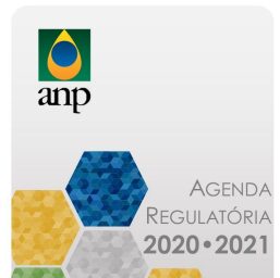 Symone Araújo Diretora Da Anp E Tem O Desafio De Implementar A Agenda Regulatória 2020/21 Symone Araújo diretora da ANP e tem o desafio de implementar a agenda regulatória 2020/21