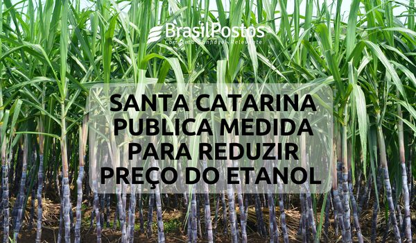 Santa Catarina publica medida para reduzir preço do etanol