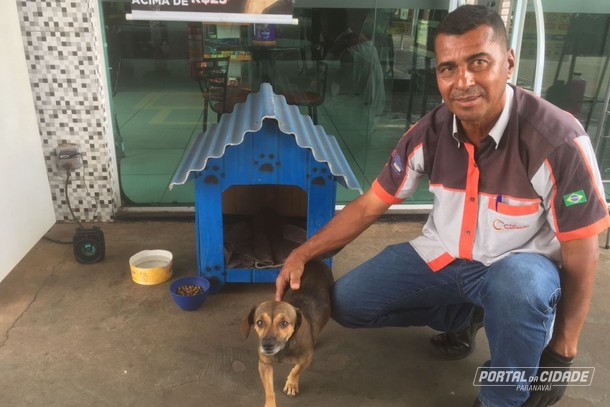 Cadela é adotada como mascote em posto de combustível de Paranavaí