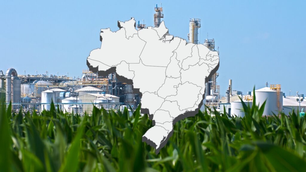 Etanol Registra Queda Em 10 Estados E No Df E Alta Em Outros 10, Aponta Anp Etanol registra queda em 10 estados e no DF e alta em outros 10, aponta ANP