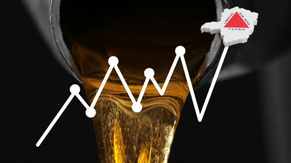 Consumo de combustível avança e registra o melhor resultado em 25 anos