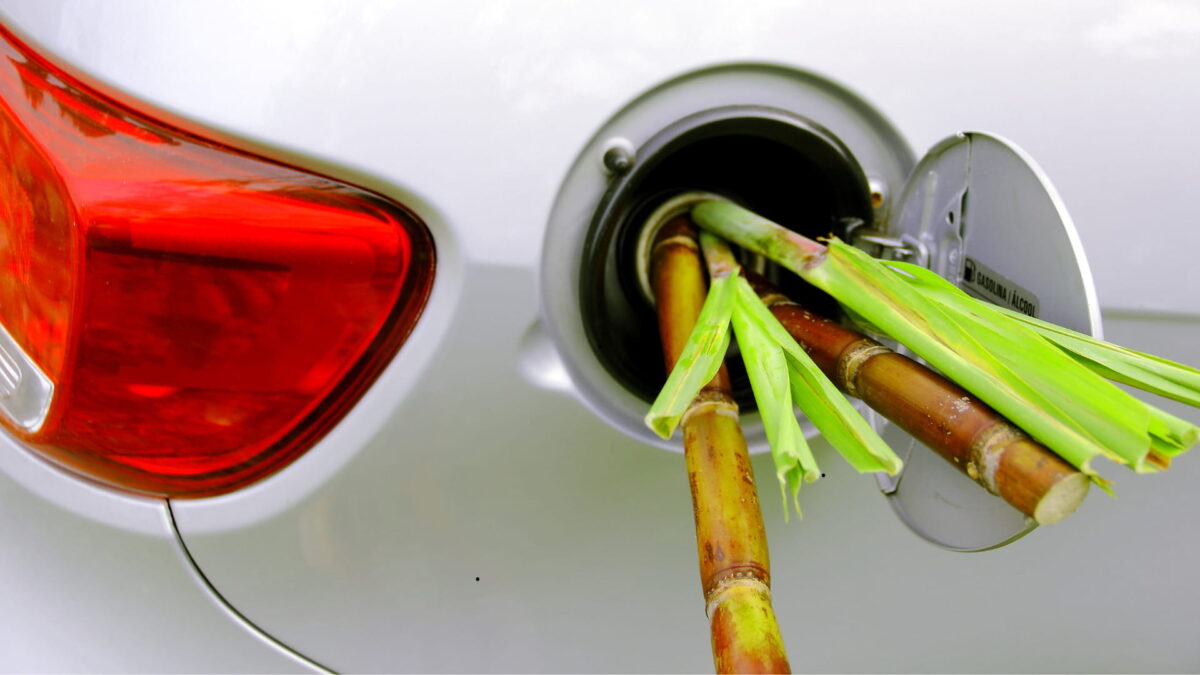 Os riscos dos 32% de etanol na gasolina: o que pode mudar?